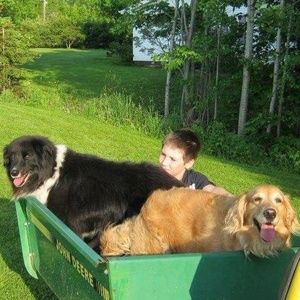 Meet your Posher, Lynn